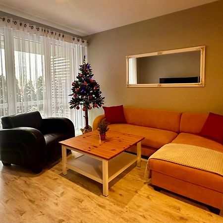 Apartament Z Widokiem Na Szyndzielnie Бельско-Бяла Экстерьер фото
