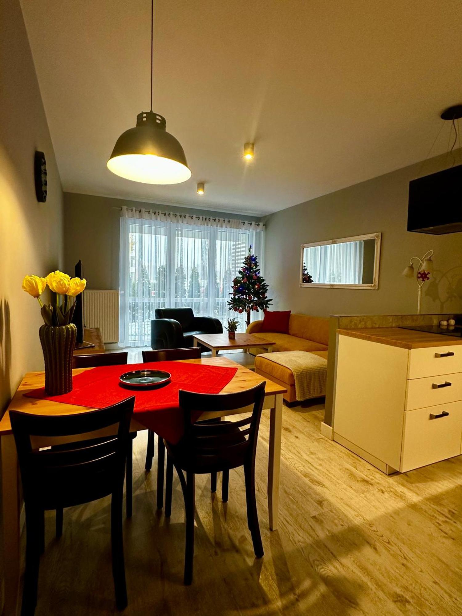 Apartament Z Widokiem Na Szyndzielnie Бельско-Бяла Экстерьер фото