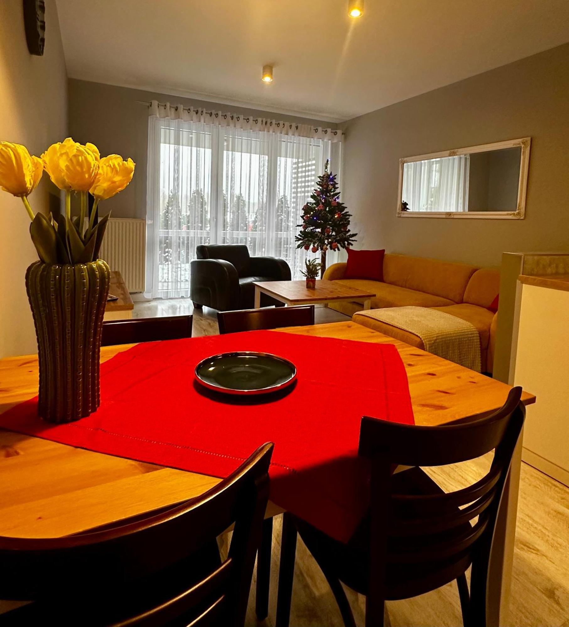 Apartament Z Widokiem Na Szyndzielnie Бельско-Бяла Экстерьер фото